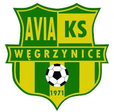 Wappen LZS Avia Węgrzynice  112990