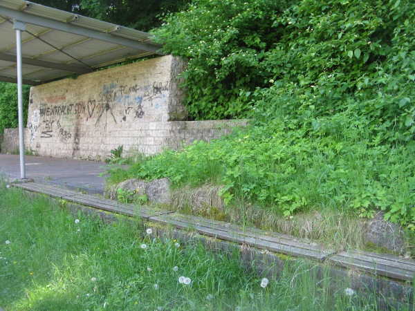 Sportplatz Borntalschule - Sondershausen
