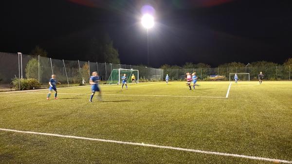 Lagan Turf Arena - Lagan