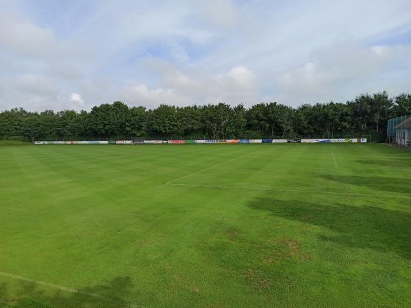 Sportgelände Am Schäfberg - Wolferstadt