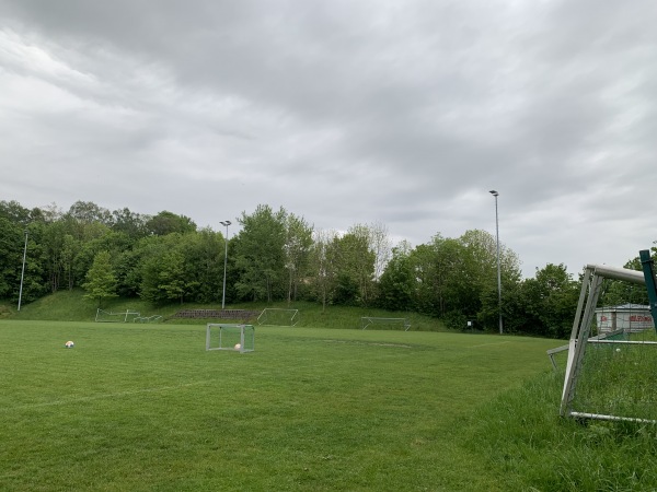 SMR-Arena Nebenplatz 1 - Buchbach
