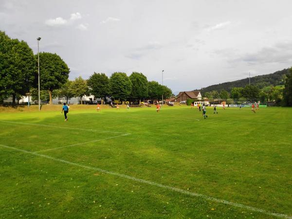 Sportplatz Rheinblick - Gaißau