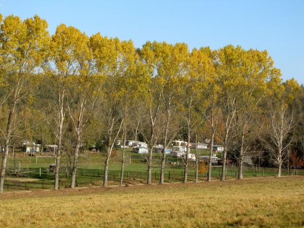 Sport- und Freizeitzentrum Bad Bibra Platz 2 - Bad Bibra