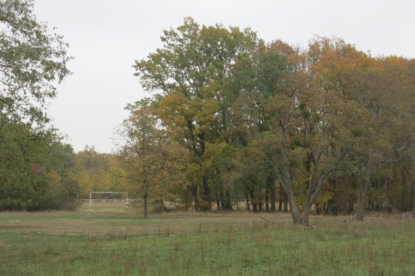 Sportplatz Dornburg - Gommern-Dornburg
