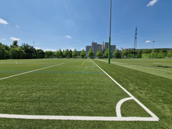 Sportanlage Heerenschürli Platz 2 - Zürich