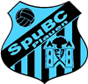 Wappen SpuBC 90 Plauen