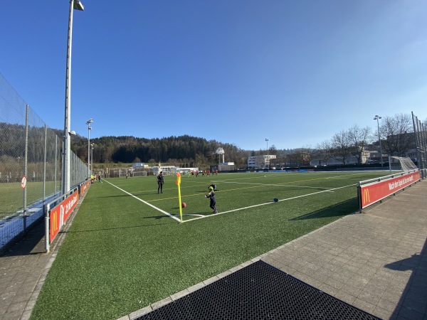Sportplatz Lättich Platz 3 - Baar
