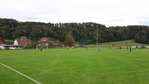 Sportplatz Arlets - Rikon