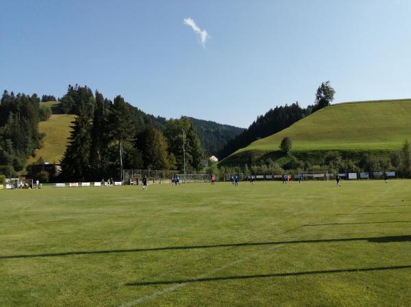 Sportplatz Hasenlehn - Trubschachen