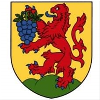 Wappen TJ Sokol Popice