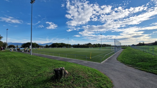 Centre Sportif de Colovray terrain 7 - Nyon