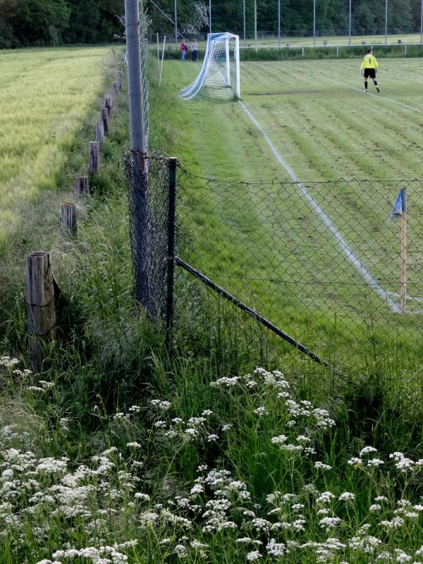 Kläus-Berg-Arena - Zülpich-Bessenich