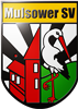 Wappen Mulsower SV 61  19318