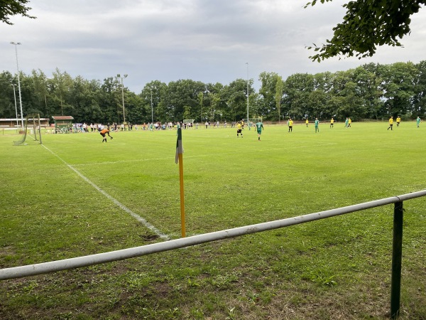 Allerkampfbahn B-Platz - Hodenhagen