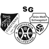 Wappen SG Hollenstede/Schwagstorf/Fürstenau - Frauen (Ground B)