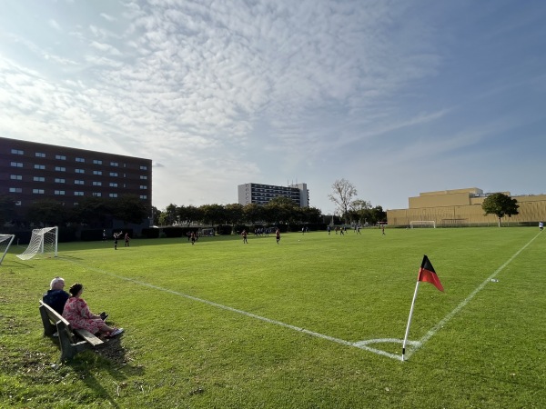 Sportpark De Dennen veld 2 - Nijmegen
