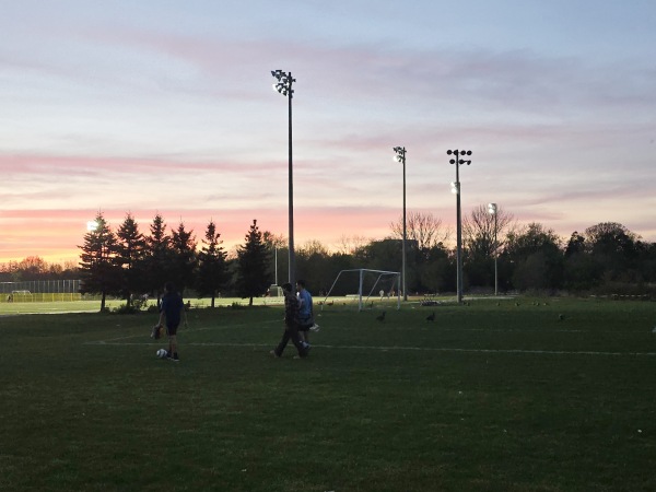 Bill Crothers Grass East - Markham, ON