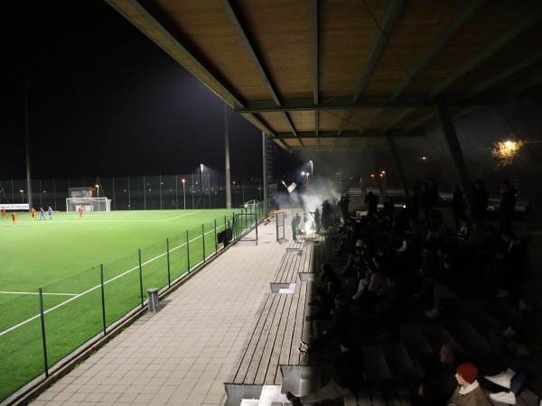 Bozner Arena Kunstrasen - Bozen (Bolzano)