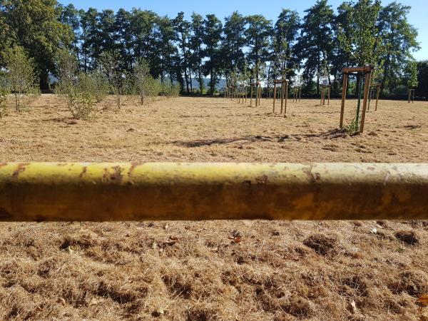 Sportplatz am Fort C - Minden/Westfalen