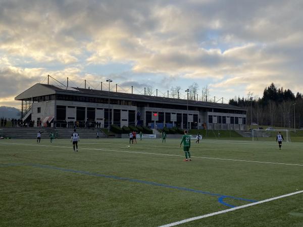 Sportanlagen Gründenmoos Platz 6 - St. Gallen