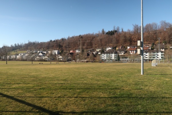 Sportplatz Risch Platz 2 - Ebikon