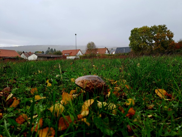 Sportplatz Hindenburgstraße - Schieder-Schwalenberg