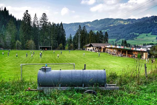 Borkenkäferstadion - Tannheim