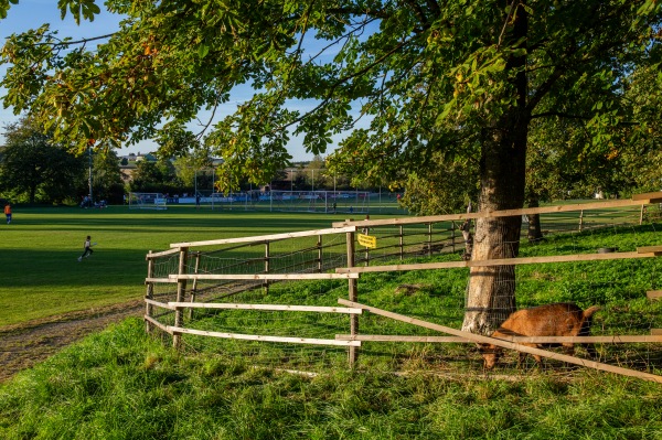 Sportanlage Störzelbacher Straße Platz 2 - Ellingen-Stopfenheim