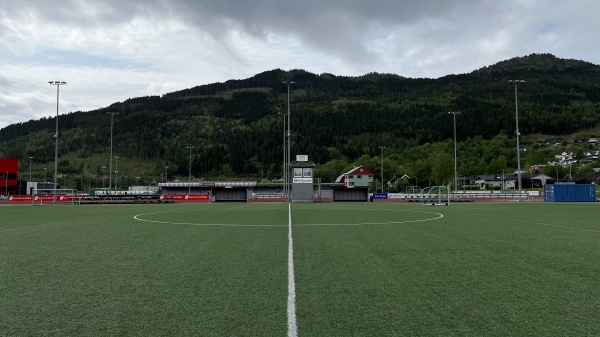 Stryn Krøllgras - Stryn