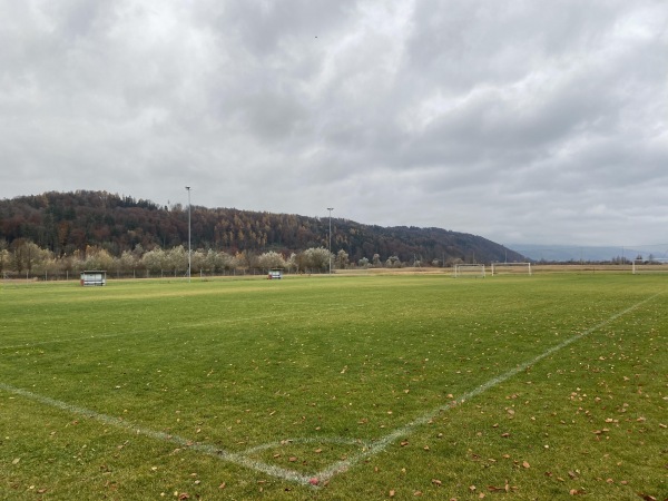 Sportplatz Allmeind Platz 3 - Schmerikon