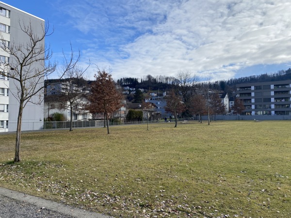 Sportplatz Schmiedhof - Ebikon