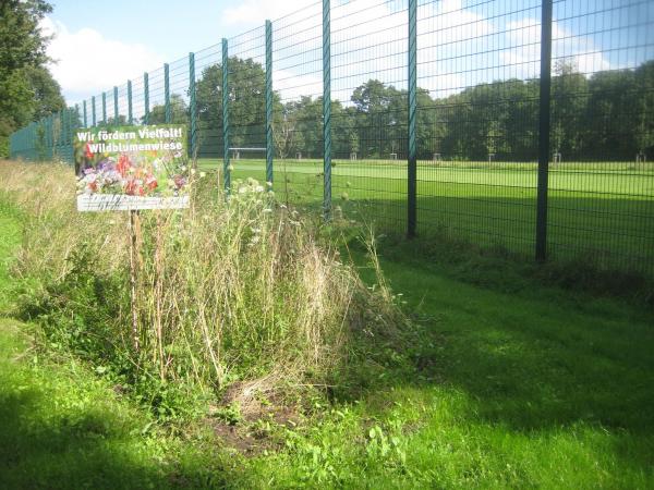 Sportplatz Mühlenteich - Recklinghausen