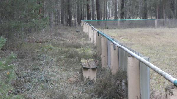 Urwaldarena - Forst/Lausitz-Groß Jamno