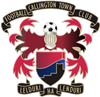 Wappen Callington Town FC diverse  87496
