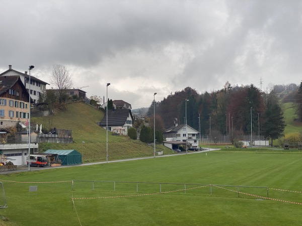 Sportplatz Baumann Federn - Ermenswil