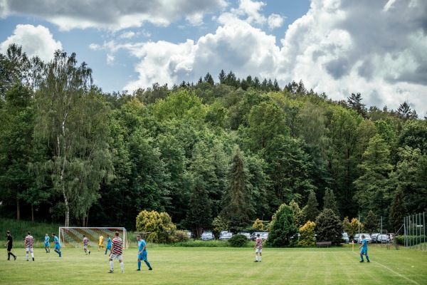Sportplatz Waldblick - Hartenstein/Sachsen-Langenbach