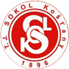 Wappen ehemals TJ Sokol Košťany  42360