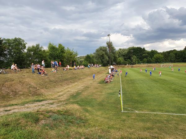Stadion Míly Vinše - Sazená