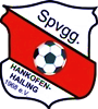 Wappen SpVgg. Hankofen-Hailing 68