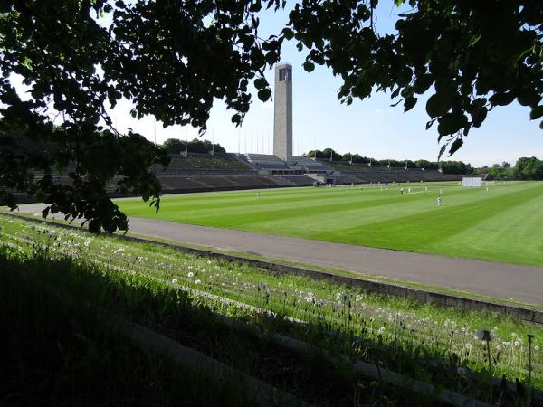 Maifeld während der Cricketbundesliga