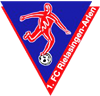 Wappen 1. FC Rielasingen-Arlen 1999 diverse  99940