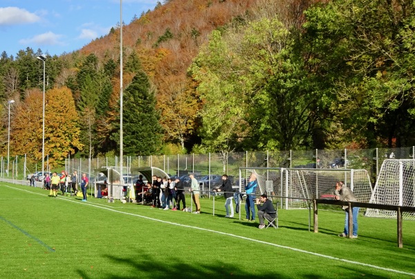 Terrain Le Jorat - Lamboing