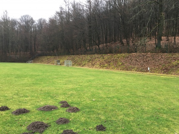 Hermann-Neuberger-Sportschule Platz 3 - Saarbrücken