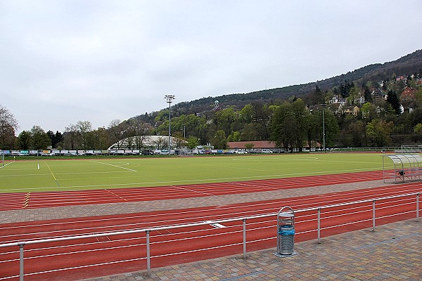 Stadion Schöntal - Neustadt/Weinstraße