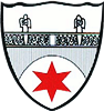 Wappen TSG 1913 Steinbach
