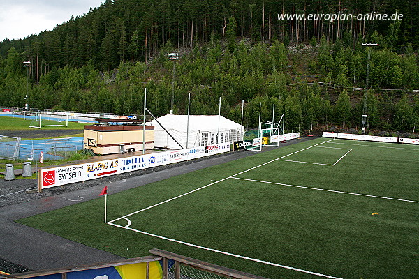Blåbærmyra kunstgress  - Fagernes/Nord Aurdal 