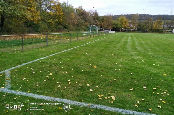 Sportplatz Wiesenweg - Lonsheim