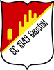 Wappen SC Geusfeld 1949 diverse  64721