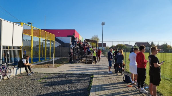 Stadionul Emilian Pavel - Ghiroda