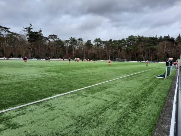 Sportpark Actief - Tynaarlo-Eelde